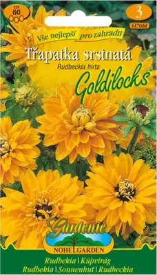 Image de GOLDILOCKS, jaune-orange