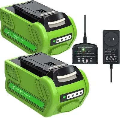 Image de Batterie rechargeable, capacité 8000mAh, compatible avec les outils électriques 40V, 2 batteries 1 chargeur