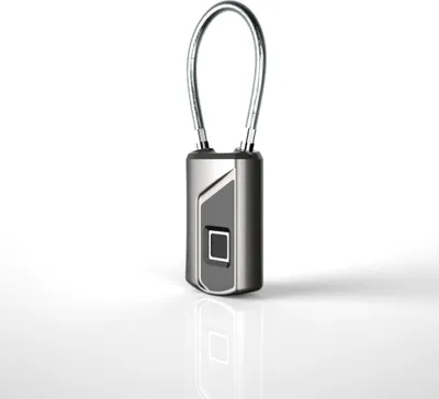 Image de L1 Padlock d'empreinte digitale - Argent