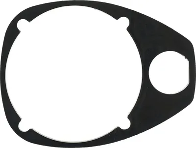 Immagine prodotto di Acciaio SW S3275-31 Guarnizione