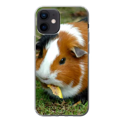 Produktbild von MuchoWow® Handyhülle Schutzhülle Hülle für iPhone 12 Meerschweinchen draußen Silikon Softcase Handy Hülle - Schutzhülle