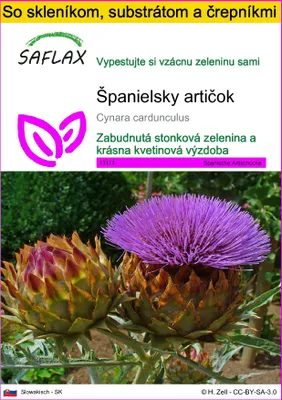 Obrázok produktu pre SAFLAX Kultivačný set - Španielsky artičok - Cynara cardunculus - 50 Semená - S mini skleníkom, pestovateľským substrátom a 2 črepníkmi