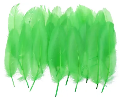 300 Gänsefedern, 10-17 cm, Naturfedern für DIY und Deko