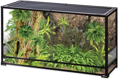 Image de Terrarium 120 x 45 x 60 cm 1 pièce