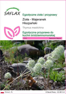 Zdjęcie produktu dla SAFLAX - Zioła - Majeranek Hiszpański - 250 Nasiona - Thymus mastichina