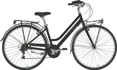 Produktbild von Alpina Roxy 28´´ 6s Lady Fahrrad Silber 46 Silber 46