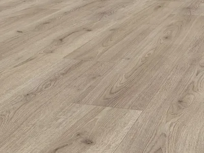 Produktbild von Laminat Jangal 8052 Soil Oak National Park Line Plus 8mm