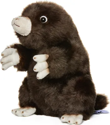 Immagine prodotto di Talpa Carl Dick in piedi 21 cm circa 2587 peluche, peluche, peluche