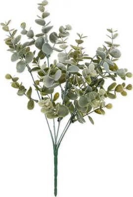 Image de Branche décorative Eucalyptus artificielle verte 35 cm - Taille unique