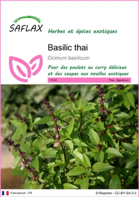 Image de SAFLAX  - Basilic thai - 200 graines - Ocimum