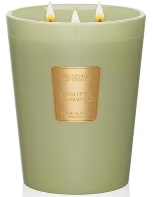 Image de Bougie parfumée eucalyptus et cèdre, en verre, 990g. Cire de soja, 3 mèches, durée de combustion : 150 heures