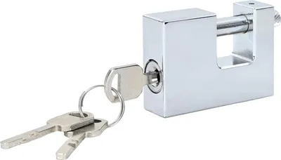 Immagine prodotto di vidaXL Lucchetto, 12 pezzi, argento, acciaio
