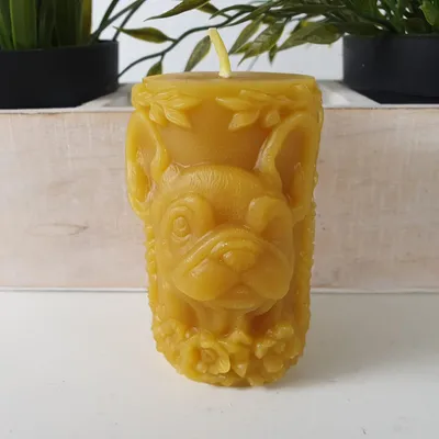 Produktbild von Bienenwachskerze Stumpenkerze mit Bulldogge 8,5 cm