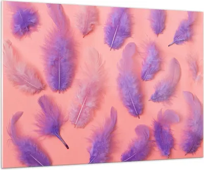Produktbild von Bilder auf glas - Vogel Feder Farbe Komposition - 100x70cm - Glasbilder - Wandbilder - Kunstdruck - zum Aufhängen bereit - Wanddekoration aus Glas - Glas Bilder - Wandbild auf Glas - GAA100x70-2922