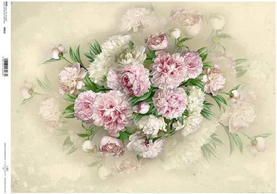 Produktbild von ITD Reispapier Decoupage Bastelpapier, A3 061L, Blumen, Pfingstrosen