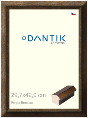Obrázek produktu pro DANTIK rámeček 29,7x42 | Forgia Bronzea (Plexi Čiré)