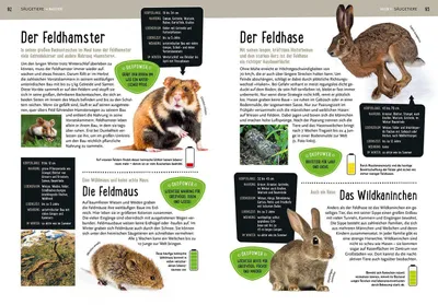 Image de Mein Kosmos-Buch Natur