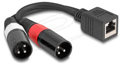 Obrázek produktu pro DeLOCK 88179, RJ-45, Samice, 2 x XLR (3-pin), Samec, 0,2 m, Černá