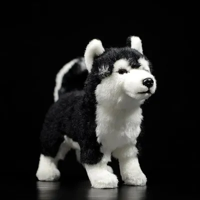 Produktbild von Husky Kuscheltier 28 cm – Realistisches Plüschtier Hund Stofftier