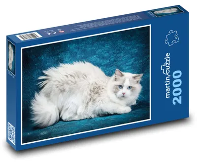 Obrázek produktu pro Puzzle 2000 Ragdoll - krásná kočka - martinpuzzle