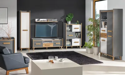 Produktbild von MINIO Wandregal VISO 9 Riviera / Anthrazit / Weiße Farbe