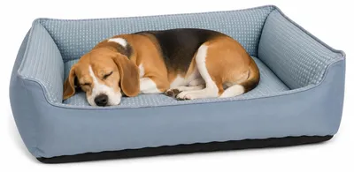 Produktbild von Flamingo hundebett - katzenbett - Kühlmatte - rechteckiges Hundebett Varga Blau