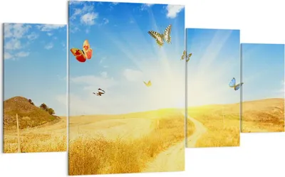 Produktbild von Bild auf Leinwand - Leinwandbild - Schmetterlinge Wiese Gras - 160x90cm - Wand Bild - Wanddeko - Leinwanddruck - Bilder - Kunstdruck - Wanddekoration - Leinwand bilder - Wandkunst - DL160x90-0517