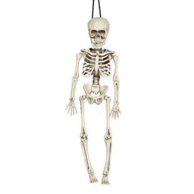 Obrázek produktu pro Kostlivec - kostra k zavěšení - HALLOWEEN - 40 cm