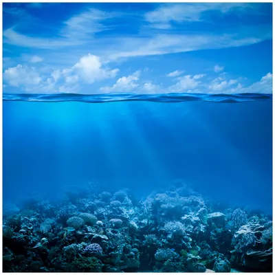 Produktbild von Wallario Möbeldesign / Aufkleber, geeignet für Ikea Lack Tisch - Unterwasserwelt Meer in 55 x 55 cm