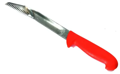 Produktbild von Schräg gezacktes Messer zum Schneiden von Spargel