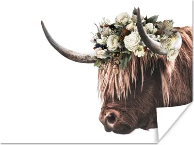 Produktbild von MuchoWow® Poster Schottischer Highlander - Rosen - Weiß 120x90 cm - Wandbild