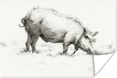 Produktbild von MuchoWow® Poster Stehendes Schwein im Gras - Gemälde von Jean Bernard 30x20 cm - Plakate - Print