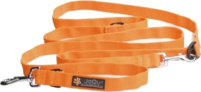 Immagine prodotto di JoQu Classic 250 cm arancione guinzaglio regolabile per cani di piccola taglia