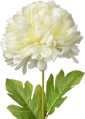 Image de Clayre & Eef Fleur artificielle 80 cm blanc plastique