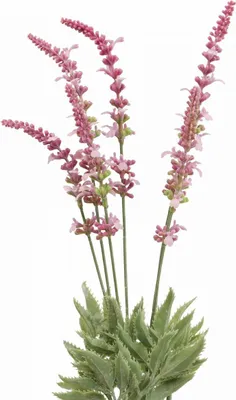 Produktbild von Kunstblumen Lavendelbund für vielseitige Dekorationen, 3 Stück
