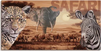 Produktbild von ARTland Leinwandbild Safari Größe: 60x30 cm