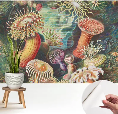 Produktbild von Fototapete selbstklebend - 208x146 cm - Tapete - Wandtapete - Wandbilder - Klebefolie - Dekofolie - Tapete Folie - Wand - Dekoration - Wohnzimmer - Zieranemonen