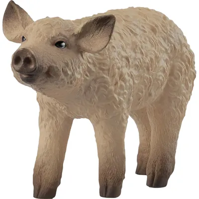 Produktbild von Mangalica-Ferkel