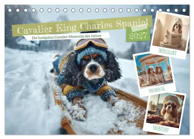 Produktbild von Cavalier King Charles Spaniel. Die lustigsten Cavalier Momente des Jahres. (Tischkalender 2027 DIN A5 quer), CALVENDO Monatskalender