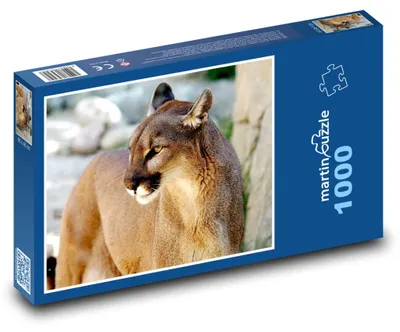 Zdjęcie produktu dla Puzzle 1000 Puma - dzika kotka - martinpuzzle