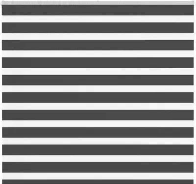 Produktbild von Doppelrollo Schwarz 165x150 cm Stoffbreite 160,9 cm Polyester