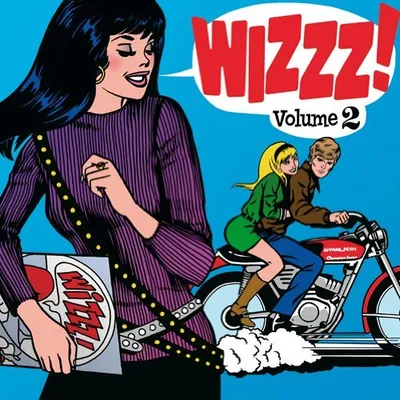 Obrázek produktu pro Various Artists - Wizzzz French Psychorama 1966-1970 Volume 2