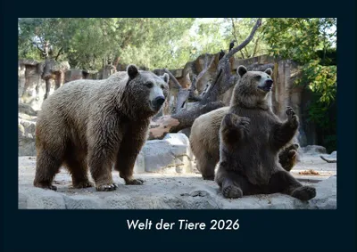 Produktbild von Welt der Tiere 2026 Fotokalender - Querformat DIN A4, Monatskalender mit Bild-Motiven von Haustieren, Bauernhof, wilden Tieren und Raubtieren