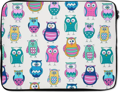 Produktbild von MuchoWow® Laptop Hülle 15 Zoll Regenbogen - Eule - Cartoon Laptoptasche - Laptoptasche - Sleeve - Rundum-Schutz
