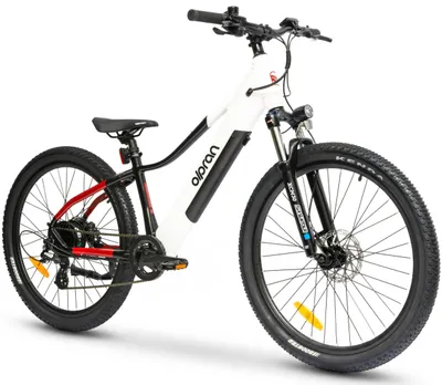 Produktbild von OLPRAN Pluma E-MTB 26 Zoll 250W 460,8Wh bis 100km 8-Gang Hydraulische Bremsen
