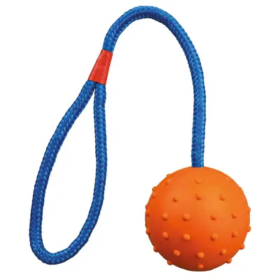 Produktbild von Trixie Ball Mit Seil Ø 6x30 Cm One Size
