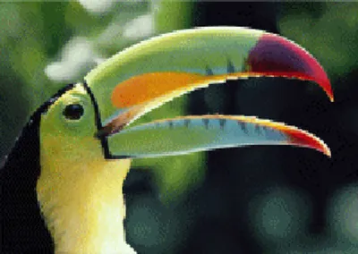 Produktbild von 3 D Ansichtskarte Tukan, Postkarte Wackelkarte Hologrammkarte, Tier Vogel Tukane