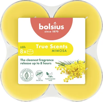 Produktbild von Bolsius Duft-Teelichte Maxi 8 Stunden 8er Pack True Scents Mimose