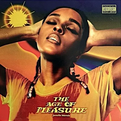 Productafbeelding van Janelle Monáe: The Age Of Pleasure - (LP / Vinyl)