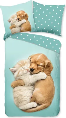 Produktbild von Duvet cover Good Morning 135x200 + 1* 80x80 cm - dog and cat